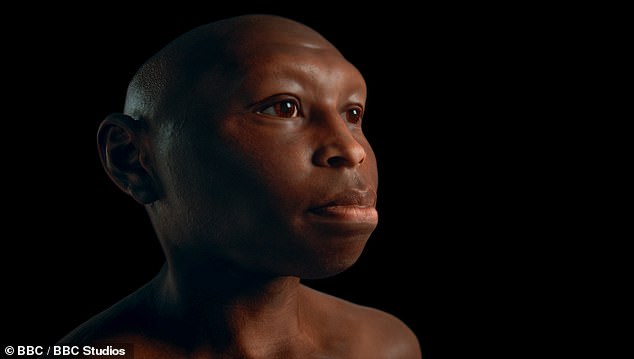 Unveiled: The Most Accurate Faces of Ancient Human Species