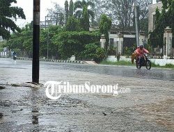 Prakiraan Cuaca PBD 8 Juli 2025: Sorong, Raja Ampat, Tambrauw, Maybrat, Kota Sorong Prakiraan Cuaca PBD 8 Juli 2025: Sorong, Raja Ampat, Tambrauw, Maybrat, Kota Sorong