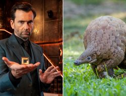 David Tennant’s Expensive Flop Faces Cancellation David Tennant’s Expensive Flop Faces Cancellation