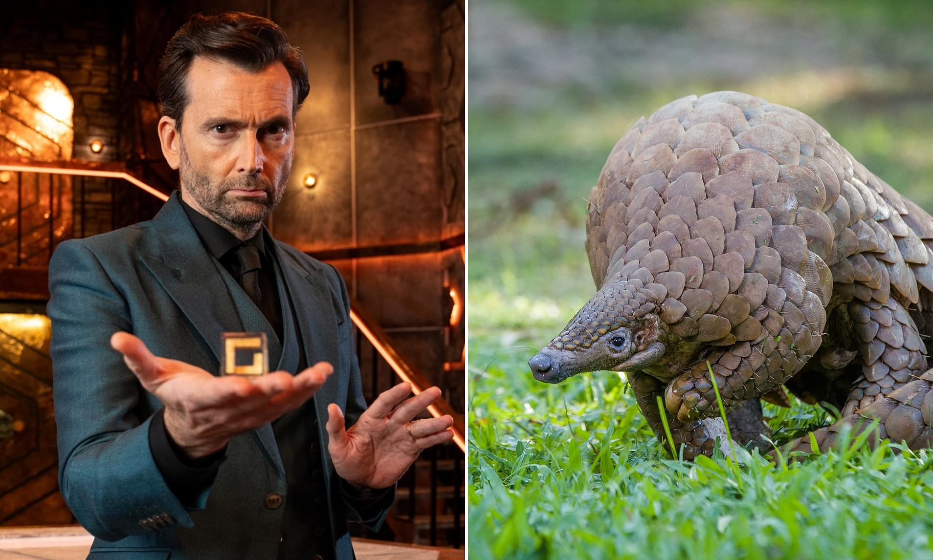 David Tennant’s Expensive Flop Faces Cancellation