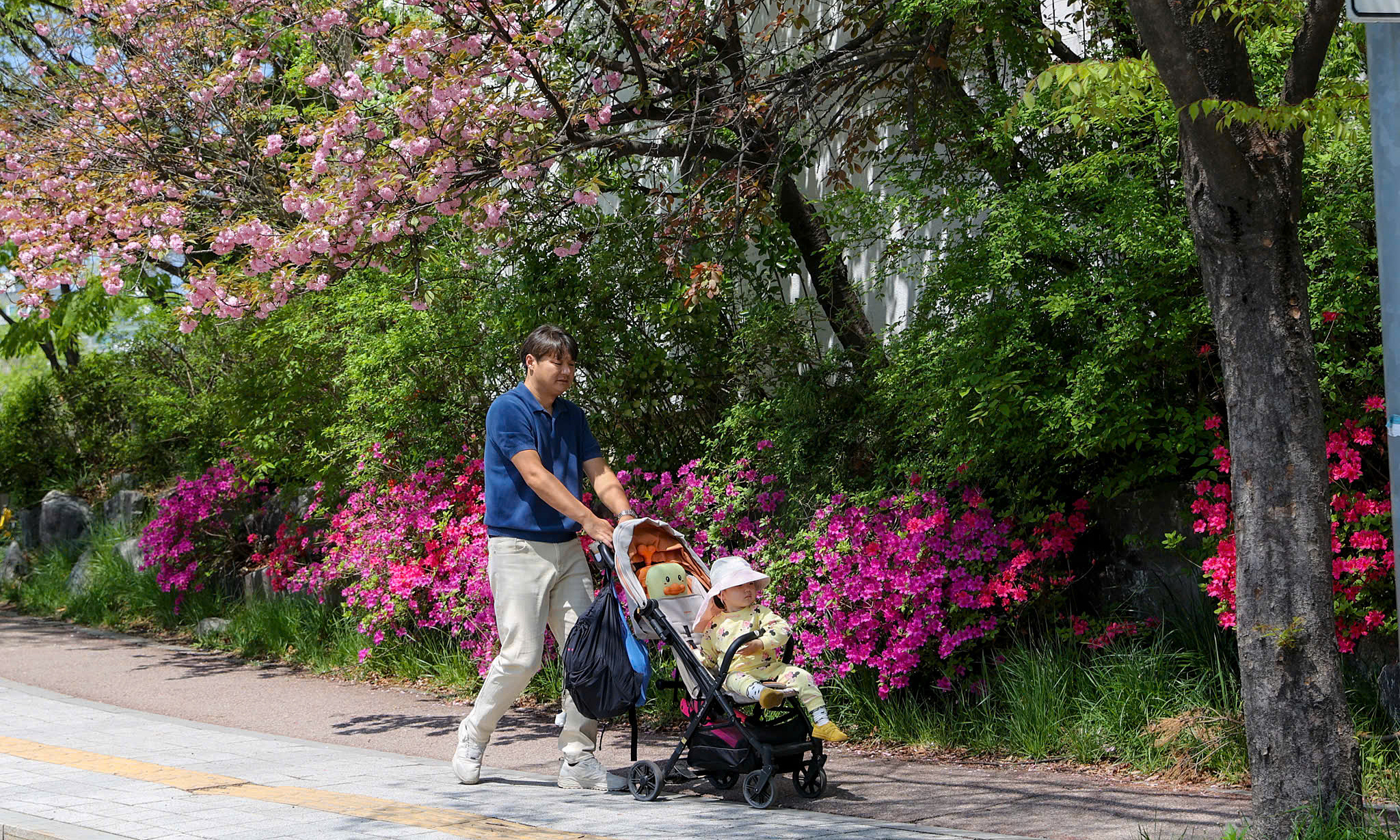 South Korea’s Population May Plummet 85% in Century