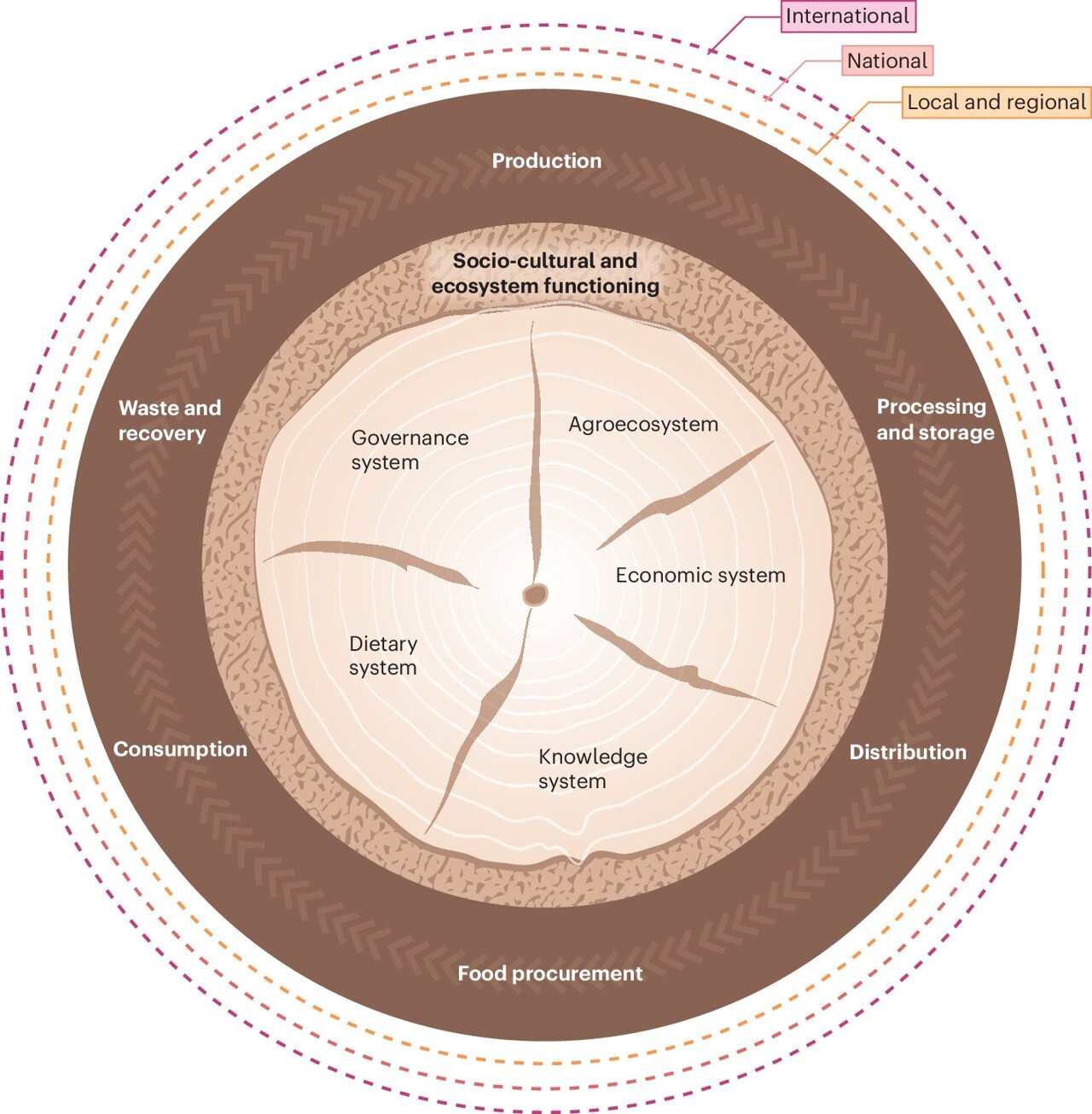 Mangrove Metaphor: Nature’s Blueprint for Sustainable Food Systems