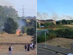 Residents Evacuated as Crews Fight Eight-Hectare Grass Fire in London