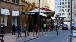New Zealand Increases Work Hours for International Students