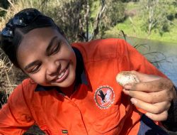 WYLD Projects Empowers Youth Through Turtle Conservation