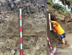 BRIN Temukan Bukti Tsunami Purba di Sekitar Bandara NYIA Kulon Progo
