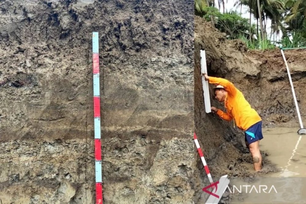 BRIN Temukan Bukti Tsunami Purba di Sekitar Bandara NYIA Kulon Progo