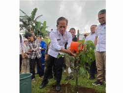 Menteri Lingkungan Hidup Pimpin Penanaman Pohon Nasional di Taman Safari Bogor Menteri Lingkungan Hidup Pimpin Penanaman Pohon Nasional di Taman Safari Bogor
