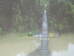 Bupati Pesibar Pantau Pembangunan Jembatan Way Pemerihan Rp3,7 Miliar