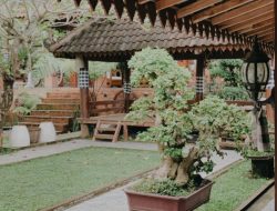 Angkringan Khas Jawa-Bali di Wonogiri, 25 Menit dari Kota, Rasa Kuliner Tradisional Angkringan Khas Jawa-Bali di Wonogiri, 25 Menit dari Kota, Rasa Kuliner Tradisional