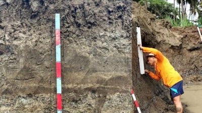BRIN Umumkan Temuan Tsunami Purba Ribu Tahun di Kulon Progo, Dekat YIA
