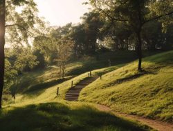 79 Uplifting July Quotes