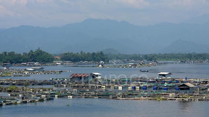 Dinas Lingkungan Jabar Tangani Kontaminasi Merkuri di Waduk Cirata