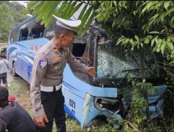 Bus ANS Dikawal Maut, Sopir Luka dan Kernet Tewas di Sijunjung Bus ANS Dikawal Maut, Sopir Luka dan Kernet Tewas di Sijunjung