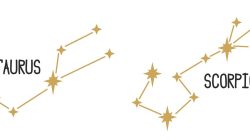 Ramalan Zodiak Taurus dan Scorpio Hari Ini: Karier, Cinta, Keuangan, dan Kesehatan