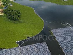 Ikan di Waduk Cirata Terkontaminasi Merkuri Sejak 2009 Ikan di Waduk Cirata Terkontaminasi Merkuri Sejak 2009