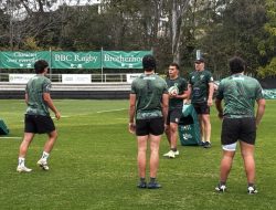 The Brisbane School Coached by Ex-Leinster Star Brad Thorn The Brisbane School Coached by Ex-Leinster Star Brad Thorn