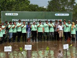 Energi Arkara dan Penanaman 4.000 Mangrove di Teluk Lingga