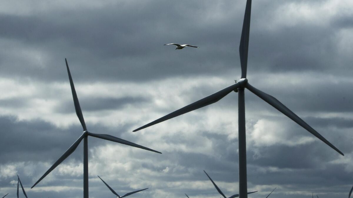 Ireland’s Wind Farms Hit 30% Power Milestone in June