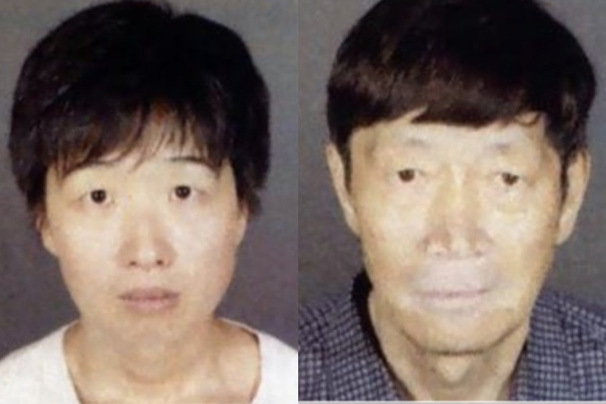 21 children saved after couple deceived surrogates nationwide