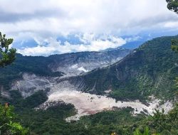 3 Jalur Populer untuk Pendaki Pemula di Bandung