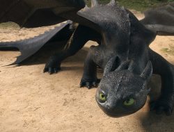 How to Train Your Dragon Live-Action Altered Toothless Without You Realizing How to Train Your Dragon Live-Action Altered Toothless Without You Realizing