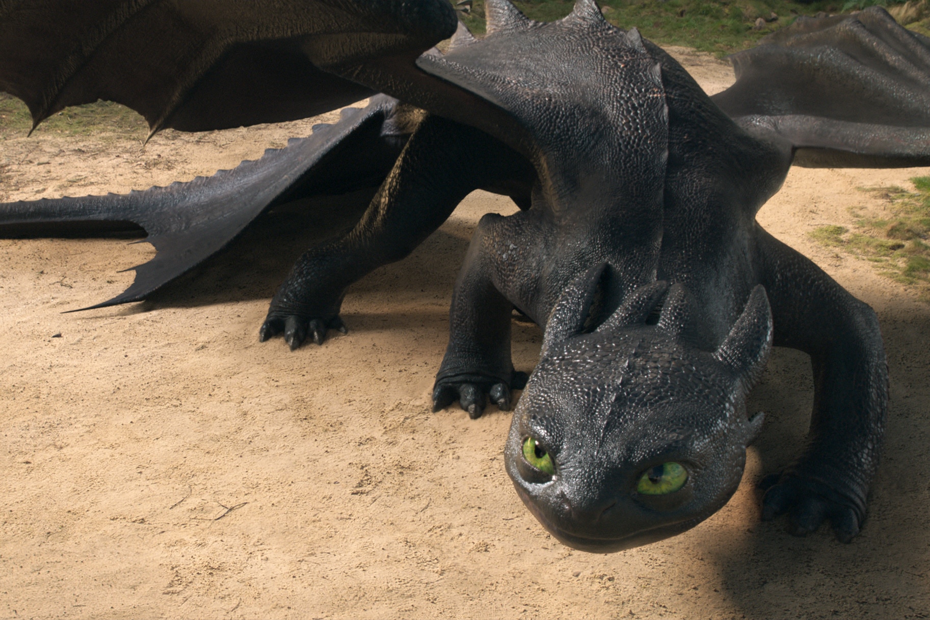 How to Train Your Dragon Live-Action Altered Toothless Without You Realizing
