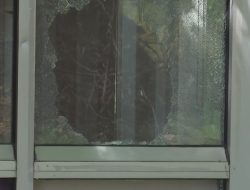 Windows shattered at nonprofit 5 times in 3 months