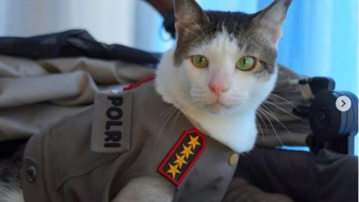 Bobby Kertanegara Jadi Model Catwalk, Datang Dikawal Polisi Picu Pro dan Kontra