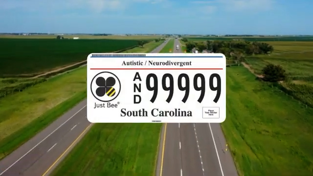 A Purpose-Driven License Plate: How a South Carolina Mom is Spreading Autism Awareness Across the State