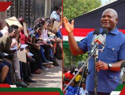 Kakamega County Offers 148 Jobs to Kenyans, Including Sports Officers