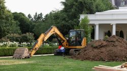 Trump’s Controversial Garden: Obscure and Intentional Names
