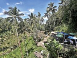 5 Kota Paling Aman dan Nyaman untuk Solo Traveling di Indonesia, Ada yang Tawarkan Cuaca Dingin dan Budaya! 5 Kota Paling Aman dan Nyaman untuk Solo Traveling di Indonesia, Ada yang Tawarkan Cuaca Dingin dan Budaya!
