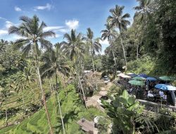 5 Kota Paling Aman dan Nyaman untuk Solo Traveling di Indonesia, Ada yang Tawarkan Cuaca Sejuk dan Budaya Kaya! 5 Kota Paling Aman dan Nyaman untuk Solo Traveling di Indonesia, Ada yang Tawarkan Cuaca Sejuk dan Budaya Kaya!