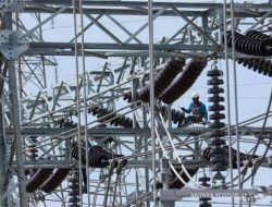 PLN Nyalakan Jalur Transmisi 150 kV Kolonedale-Bungku PLN Nyalakan Jalur Transmisi 150 kV Kolonedale-Bungku
