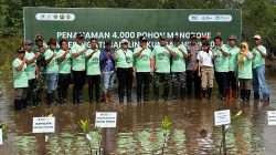 Pemulihan Ekologis Teluk Lingga: 4.000 Mangrove Ditanam di Kutai Timur