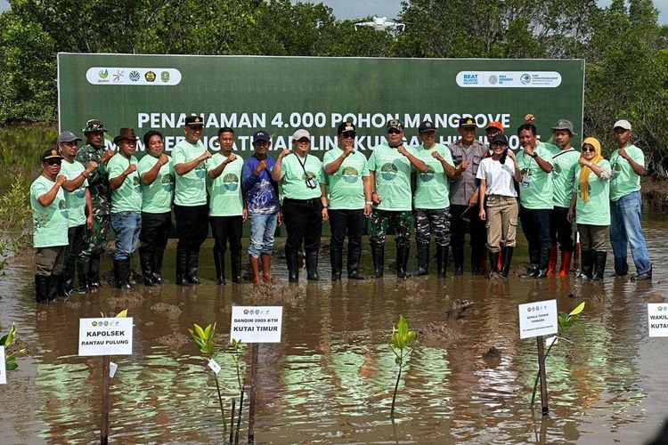 Pemulihan Ekologis Teluk Lingga: 4.000 Mangrove Ditanam di Kutai Timur