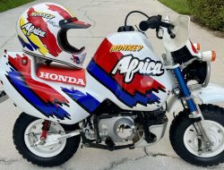 Should Honda Create a New Baja Monkey Africa? Should Honda Create a New Baja Monkey Africa?