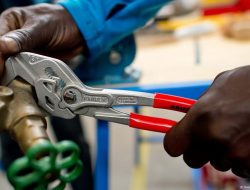 Migrant Earnings Lag Across Generations in Germany