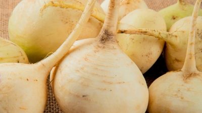 Manfaat Bengkoang untuk Kesehatan Tubuh yang Menyeluruh