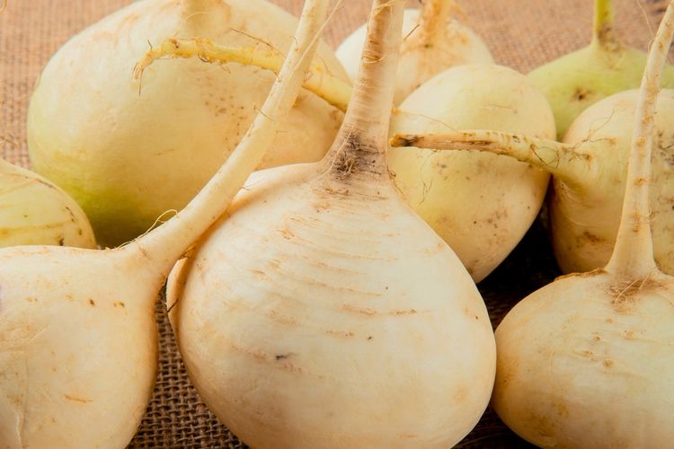Manfaat Bengkoang untuk Kesehatan Tubuh yang Menyeluruh