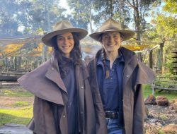 5 Aktivitas dan Destinasi Menarik untuk Pecinta Traveling di Australia Barat