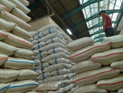 Respons Pemprov Jakarta Pasca Pengumuman Kementan soal Mutu Beras Food Station Respons Pemprov Jakarta Pasca Pengumuman Kementan soal Mutu Beras Food Station