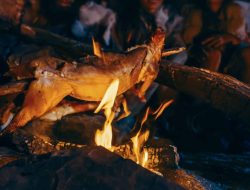 Did Neanderthals Crave Favorite Dishes? The Answer Is…