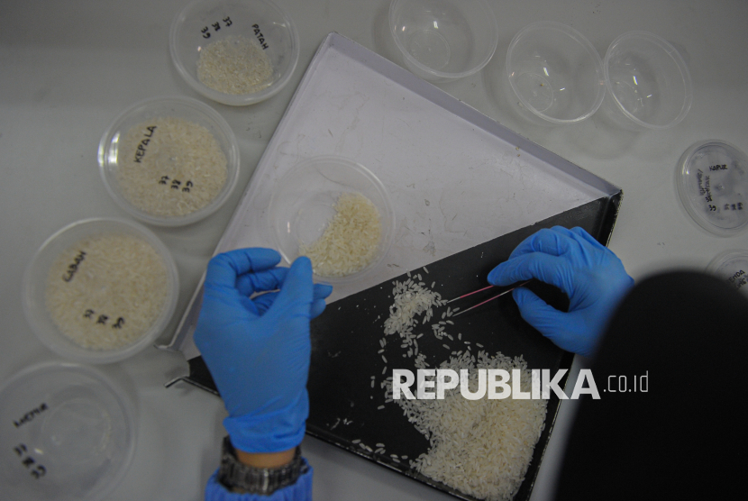 Cara Cepat Membedakan Beras Oplosan dan Beras Berkualitas
