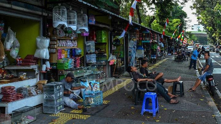 Pramono Pindahkan Pedagang Hewan ke Lenteng Agung
