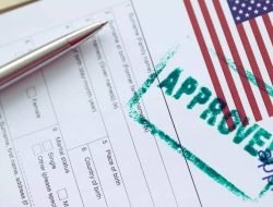 Visa Crisis: US Colleges Face 70% Drop in Indian Students This Fall – Here’s Why