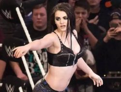 WWE Star Speaks Out About Shocking Backstage Incident, Unveils the Truth