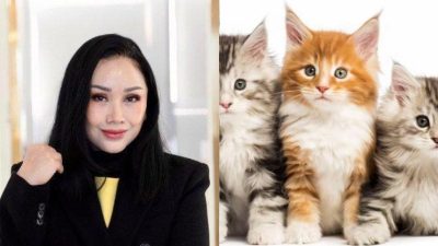 Siapa? Titi DJ Bocorkan Penggemar Aneh Artis Indonesia yang Selalu Minta Kucing