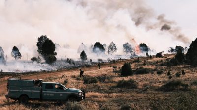 White Sage Fire Spreads to 59K Acres with 61% Containment in Northern Arizona